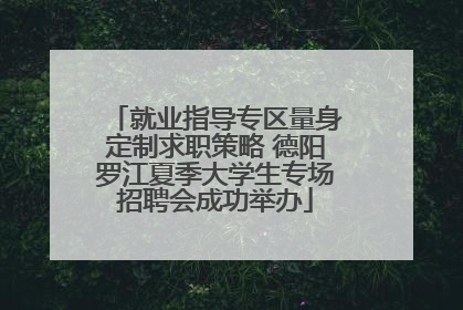 就业指导专区量身定制求职策略 德阳罗江夏季大学生专场招聘会成功举办