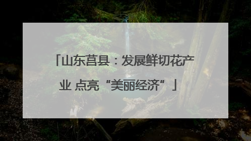 山东莒县：发展鲜切花产业 点亮“美丽经济”