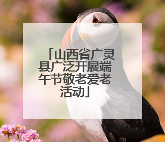 山西省广灵县广泛开展端午节敬老爱老活动