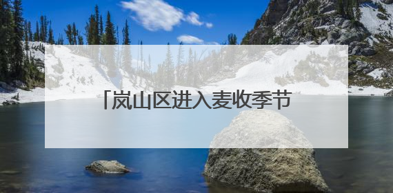 岚山区进入麦收季节，昔日“老大难”，变成今朝“抢手货”！
