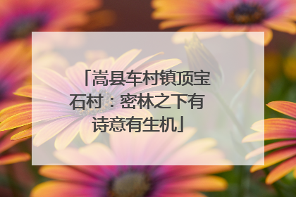 嵩县车村镇顶宝石村：密林之下有诗意有生机