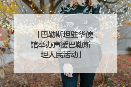 巴勒斯坦驻华使馆举办声援巴勒斯坦人民活动