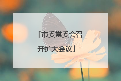 市委常委会召开扩大会议