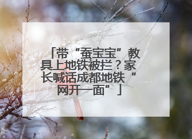 带“蚕宝宝”教具上地铁被拦？家长喊话成都地铁“网开一面”