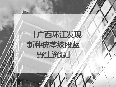广西环江发现新种疣茎绞股蓝野生资源