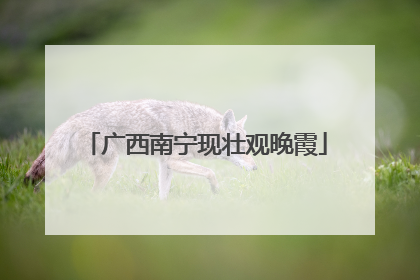 广西南宁现壮观晚霞