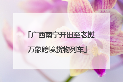 广西南宁开出至老挝万象跨境货物列车