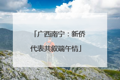 广西南宁：新侨代表共叙端午情