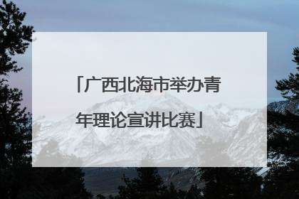 广西北海市举办青年理论宣讲比赛