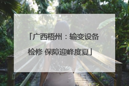 广西梧州：输变设备检修 保障迎峰度夏