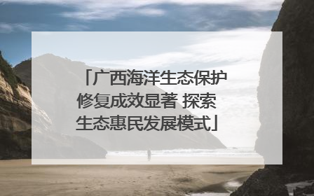 广西海洋生态保护修复成效显著 探索生态惠民发展模式