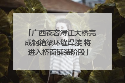 广西苍容浔江大桥完成钢箱梁环缝焊接 将进入桥面铺装阶段