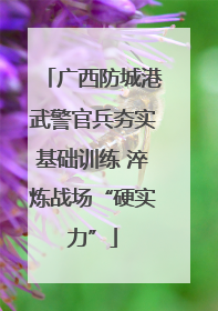 广西防城港武警官兵夯实基础训练 淬炼战场“硬实力”
