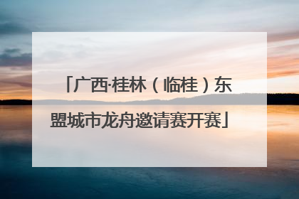 广西·桂林（临桂）东盟城市龙舟邀请赛开赛