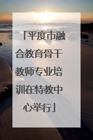 平度市融合教育骨干教师专业培训在特教中心举行