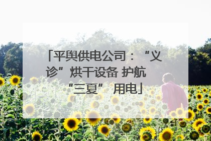 平舆供电公司：“义诊”烘干设备 护航 “三夏” 用电