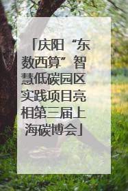 庆阳“东数西算”智慧低碳园区实践项目亮相第三届上海碳博会