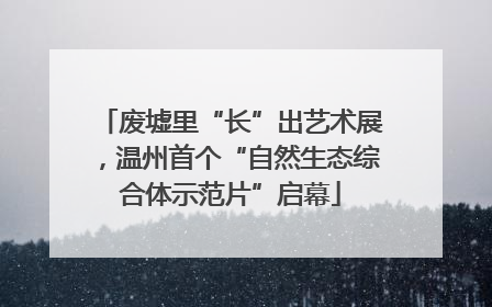 废墟里“长”出艺术展，温州首个“自然生态综合体示范片”启幕