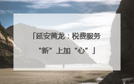 延安黄龙：税费服务“新”上加“心”