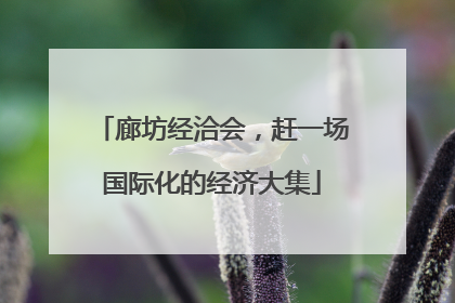 廊坊经洽会，赶一场国际化的经济大集