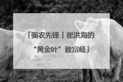 强农先锋丨崔洪海的“黄金叶”致富经