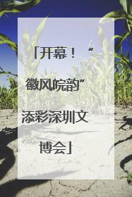 开幕！“徽风皖韵”添彩深圳文博会