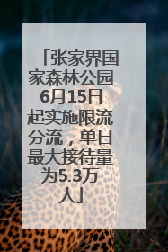 张家界国家森林公园6月15日起实施限流分流，单日最大接待量为5.3万人