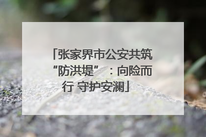 张家界市公安共筑“防洪堤”：向险而行 守护安澜