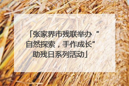 张家界市残联举办“自然探索，手作成长”助残日系列活动