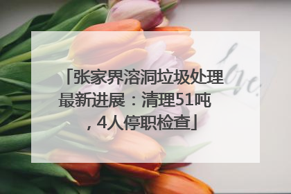 张家界溶洞垃圾处理最新进展：清理51吨，4人停职检查