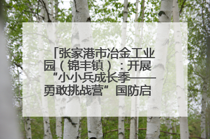 张家港市冶金工业园（锦丰镇）：开展“小小兵成长季——勇敢挑战营”国防启蒙教育活动