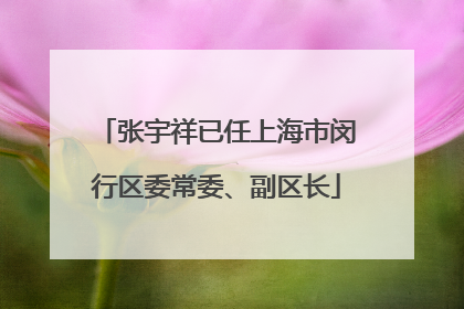 张宇祥已任上海市闵行区委常委、副区长