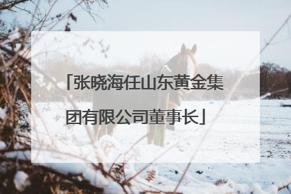 张晓海任山东黄金集团有限公司董事长
