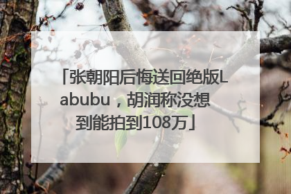 张朝阳后悔送回绝版Labubu，胡润称没想到能拍到108万