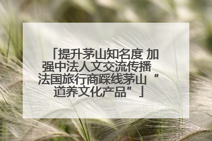 提升茅山知名度 加强中法人文交流传播 法国旅行商踩线茅山“道养文化产品”