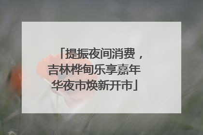提振夜间消费，吉林桦甸乐享嘉年华夜市焕新开市