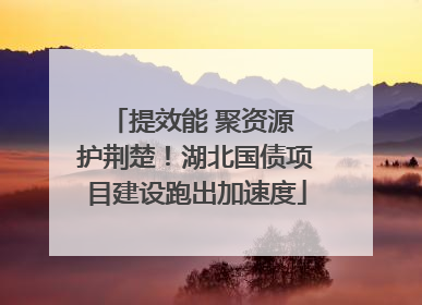 提效能 聚资源 护荆楚！湖北国债项目建设跑出加速度