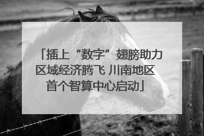 插上“数字”翅膀助力区域经济腾飞 川南地区首个智算中心启动