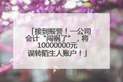 接到报警！一公司会计“闯祸了”，将10000000元误转陌生人账户！