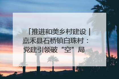 推进和美乡村建设｜嘉禾县石桥镇白珠村：党建引领破“空”局 乡贤聚力绘就新图景