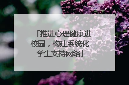 推进心理健康进校园，构建系统化学生支持网络