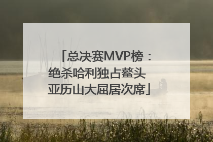 总决赛MVP榜：绝杀哈利独占鳌头 亚历山大屈居次席