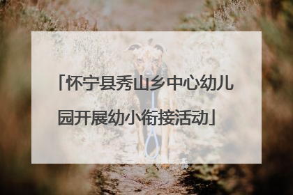 怀宁县秀山乡中心幼儿园开展幼小衔接活动
