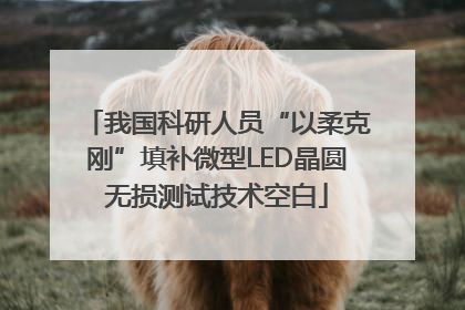 我国科研人员“以柔克刚”填补微型LED晶圆无损测试技术空白