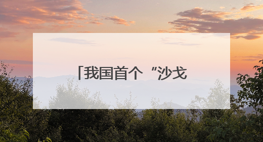 我国首个“沙戈荒”光伏“练兵场”长啥样？总台记者探访→