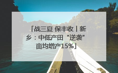 战三夏 保丰收丨新乡：中低产田“逆袭” 亩均增产15%