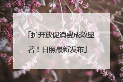 扩开放促消费成效显著！日照最新发布