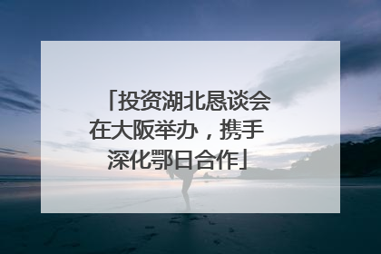 投资湖北恳谈会在大阪举办，携手深化鄂日合作