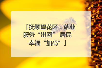抚顺望花区：就业服务“出圈” 居民幸福“加码”
