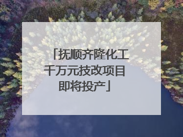抚顺齐隆化工千万元技改项目即将投产